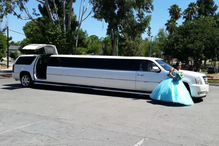 Cadillac Escalade 20 Passengers (2)