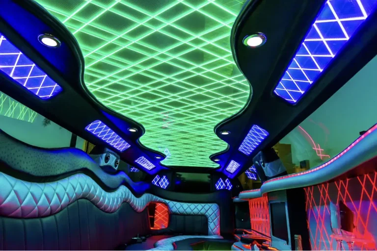 Chrysler 300 (Black) 12 Passengers (5)