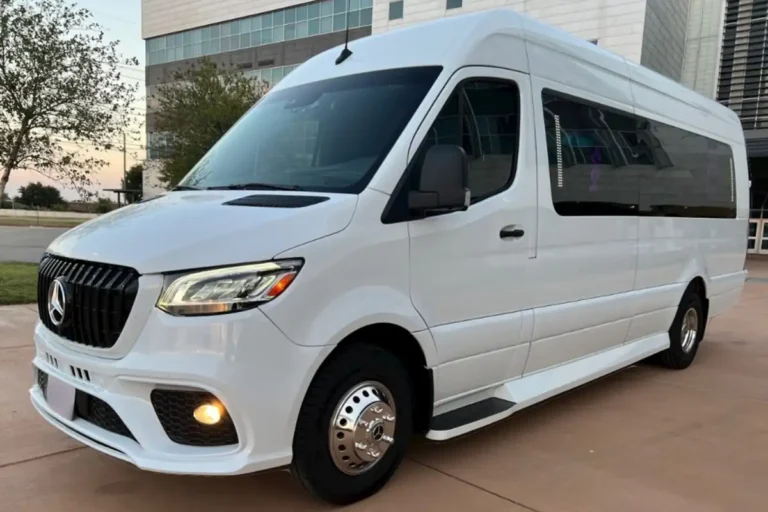 Mercedes Benz Mini Party Bus 16 Passengers (1)