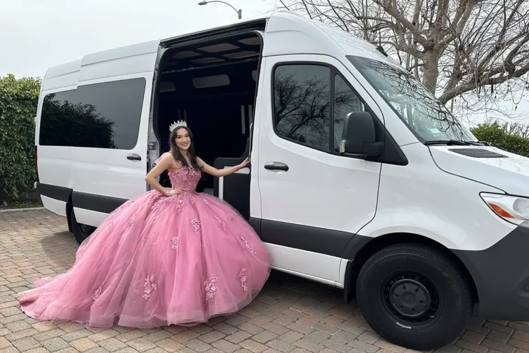 Mercedes Benz Mini Party Bus 16 Passengers (2)