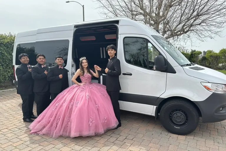 Mercedes Benz Mini Party Bus 16 Passengers (3)