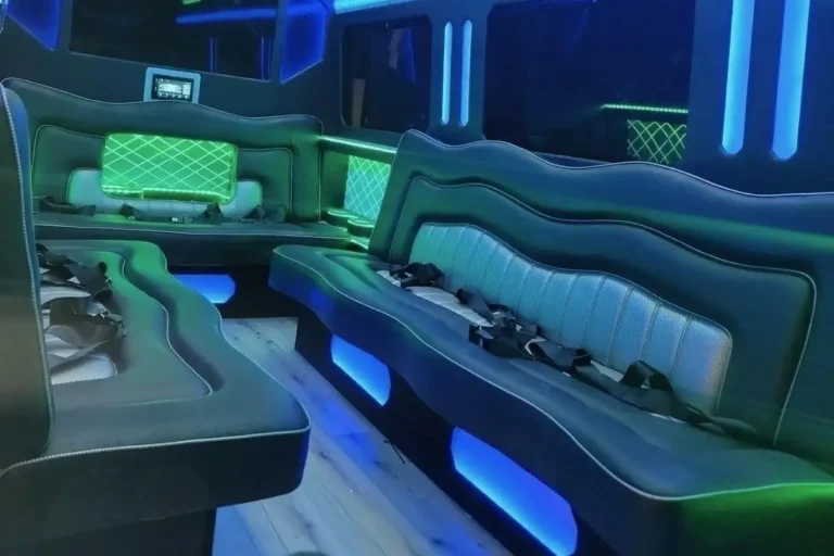 Mercedes Benz Mini Party Bus 16 Passengers (4)