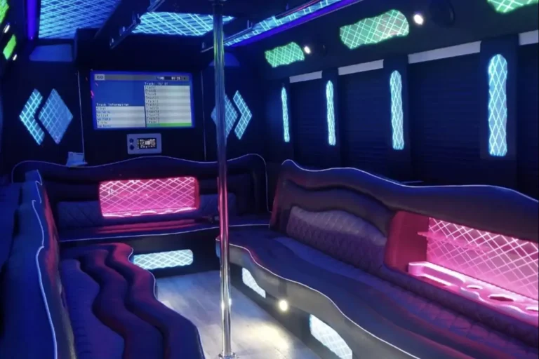 Party Bus 20 Passengers (2)