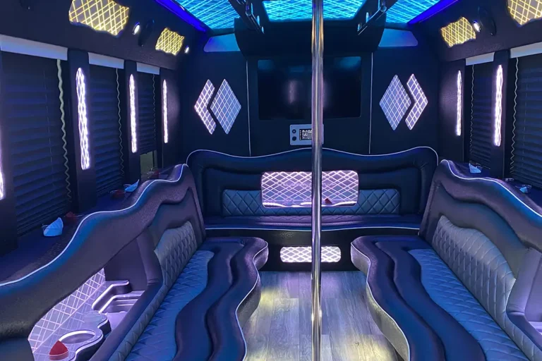 Party Bus 20 Passengers (3)